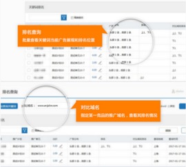 紫博蓝携手神马，推出全新排名查询Web应用，助力河北网站开发数字化转型